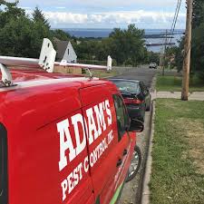 Louis park pest control won't let your home become a scary movie. Duluth Adam S Pest Control