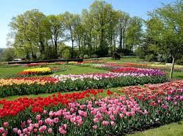 Gardens Hershey Gardens Tulip Display Garden Images Beautiful Gardens Famous Gardens