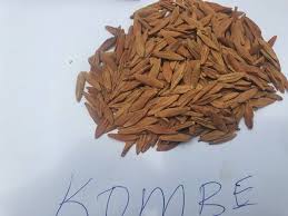Image result for Strophanthus kombe