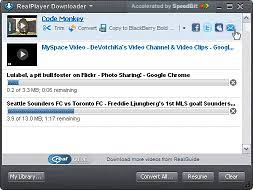 Realplayer Downloader