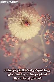 صور نصائح عن العمل في الحياة و الموت Flowers Photography Flowers Beautiful Flowers