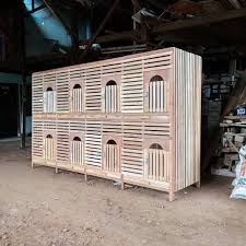 Maybe you would like to learn more about one of these? 5 Cara Membuat Kandang Ayam Bangkok Serta Jenis Jenisnya