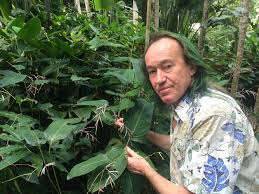 Image result for Marantochloa