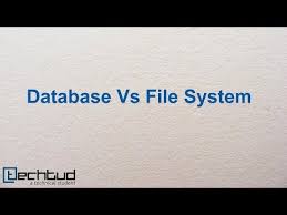 Database Vs Filesystem Database Management System Youtube