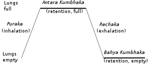 It is what differentiates yoga from gymnastics and other forms of exercise. Pranayama Wikipedia