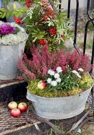 Pin By Simone Kossack On Garten Gardening Fall Container Gardens Fall Planters Autumn Garden