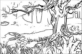 Coloring page with bird rhinoceros, zentangle illustartion hornb. Forest Coloring Pages Ideas Whitesbelfast