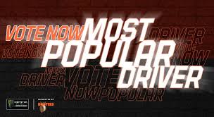 Have you ever wondered who the most popular nascar driver in your state was? Voting Opens For 2019 Nmpa Most Popular Driver Nascar Com