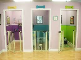 12 Pet Pampering Procedures Home Animal Room Dog Rooms