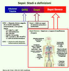 Read on to learn about the three stages of. Sepsis In Emergency Department Review Itjem