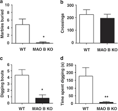 You can easily download for free thousands of videos from. Behavioral Disinhibition And Reduced Anxiety Like Behaviors In Monoamine Oxidase B Deficient Mice Neuropsychopharmacology