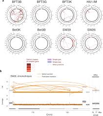 While salmon inhabit the waterways year round, millions return to spawn every summer. Structural Variant Evolution After Telomere Crisis Nature Communications