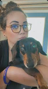 This little man is the softest black and tan you will ever pet ..reach out  to Robyn McMillan Downriver Dachshunds if you have any questions