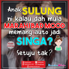 Maybe you would like to learn more about one of these? Cik Epal Saman Carl