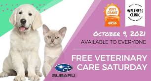 Cook is a 2006 graduate of the auburn university college of veterinary medicine. Free Veterinary Care Clinic Cook Subaru Steamboat Springs Co October 9 2021