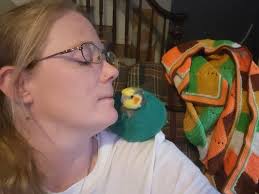 Today, Harvey Birdman is 20! Can't believe it! : r/parrots