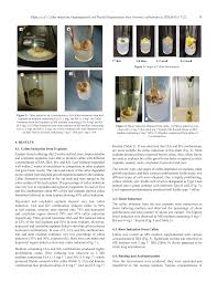 Image result for Vernonia anthelmintica