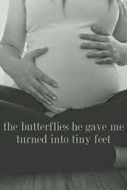 Pin On Gravid