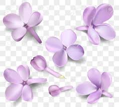 Soft Pastel Color Floral Collection Isolated On Transparent Background Royalty Free Cliparts Vectors And Stock Illustration Image 77238187 The advantage of transparent image is that it can be used efficiently.