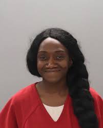 Johnston, Josee Joann mugshot and booking details