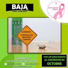 Pest control technician, safety officer, specialist and more on indeed.com. Baja Pest Control Home Facebook