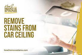 Check spelling or type a new query. How To Remove Stains From Car Ceiling Detailed Answer
