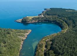 Maybe you would like to learn more about one of these? Places To Visit In Sinop