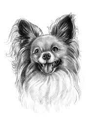 Maybe you would like to learn more about one of these? Pet Portraits Hand Drawn Pencil Pet Portrait From Photos Gifterman