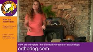 The ortho dog hip brace is designed for dogs who suffer from arthritis or mild to moderate hip dysplasia. Orthodog Hip Hound Instructional Video Youtube