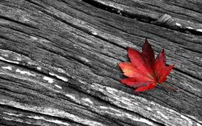Black White And Red Backgrounds Wallpaper Cave A wide variety of white red black picture options are available to you, such as feature, industrial use, and surface handling.