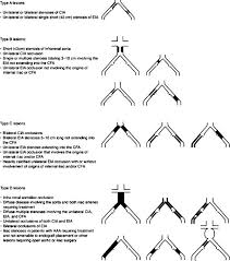 The Tasc Ii Classification Of Aortoiliac Lesions Download Scientific Diagram