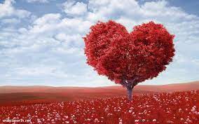 Maybe you would like to learn more about one of these? Nature Love Wallpapers Top Free Nature Love Backgrounds Wallpaperaccess