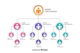 organization chart vectors photos and psd files free download