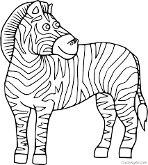 Zebra coloring pages zebras live in africa and there are three species: Pretty Cartoon Zebra Coloring Page Coloringall