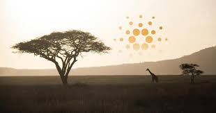 The latest cardano (ada) news on price, development, adoption, partnerships and more. Cardano Ada Is Looking To Challenge Subscription Industry Launches African Initiative Cryptoslate