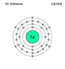 Файл:Electron shell 034 Selenium.svg — Википедия