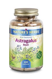 Image result for Astragalus