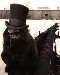 Cat In A Hat Steampunk Cat Crazy Cats Cats