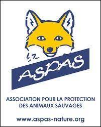 Chaque année, de nombreuses plaintes sont déposées auprès de l'association gala pour dénoncer des faits de maltraitance animale commis par des particuliers sur leurs animaux, chiens, chats et autres. Les Grandes Associations Ensemble Pour Les Animaux