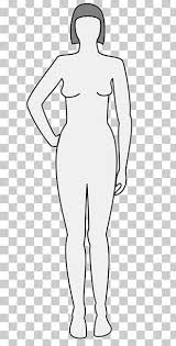 Details on women body types and body shapes like android, gynaeoid, thyroid, lymphatic types with photos are given. Female Body Shape Png Images Female Body Shape Clipart Free Download