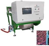 Cheap price juniper berry color sorter blueberry color ...