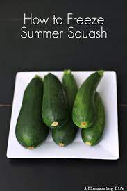 How To Freeze Summer Squash Frozen Summer Frozen Freezing Zucchini