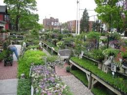 Maybe you would like to learn more about one of these? Pemberton Farms Marketplace Garden Center Garden Center Garden Pemberton