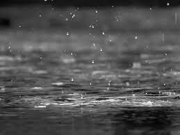Black and white — где ты я бегу за тобою. Rain Drops Black And White Close Free Photo On Pixabay