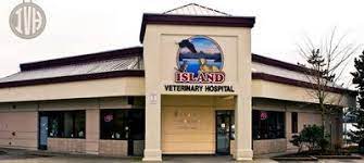 If not for covid, these. Island Veterinary Hospital 1800 Bowen Road Nanaimo Reviews And Appointments Topvet
