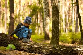 (lâ, lâ s ) adj. Bajkowy Las Home Facebook