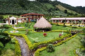 In this regard the most famous coffee brand. 5 Best Colombian Coffee Brands The Best Beans In The World The Coffee Bean Menu