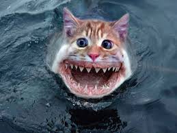 Photoshop is a brilliant invention. Funny And Creepy Cat Hybrids Bred In Photoshop