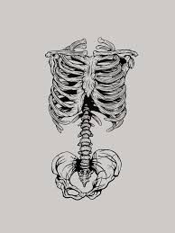 There are many ways you can showcase a rib tattoo, as you have options to get tattooed on the softer area, which is near the stomach, or on. Jamie Hernon Illustration Rib Cage Drawing Skeleton Bones Ink Tattoo Design Rib Cage Drawing Skeleton Drawings Drawings