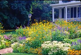 Wildflowers Along House Google Search Front Yard Flowers Front Yard Landscaping Front Yard